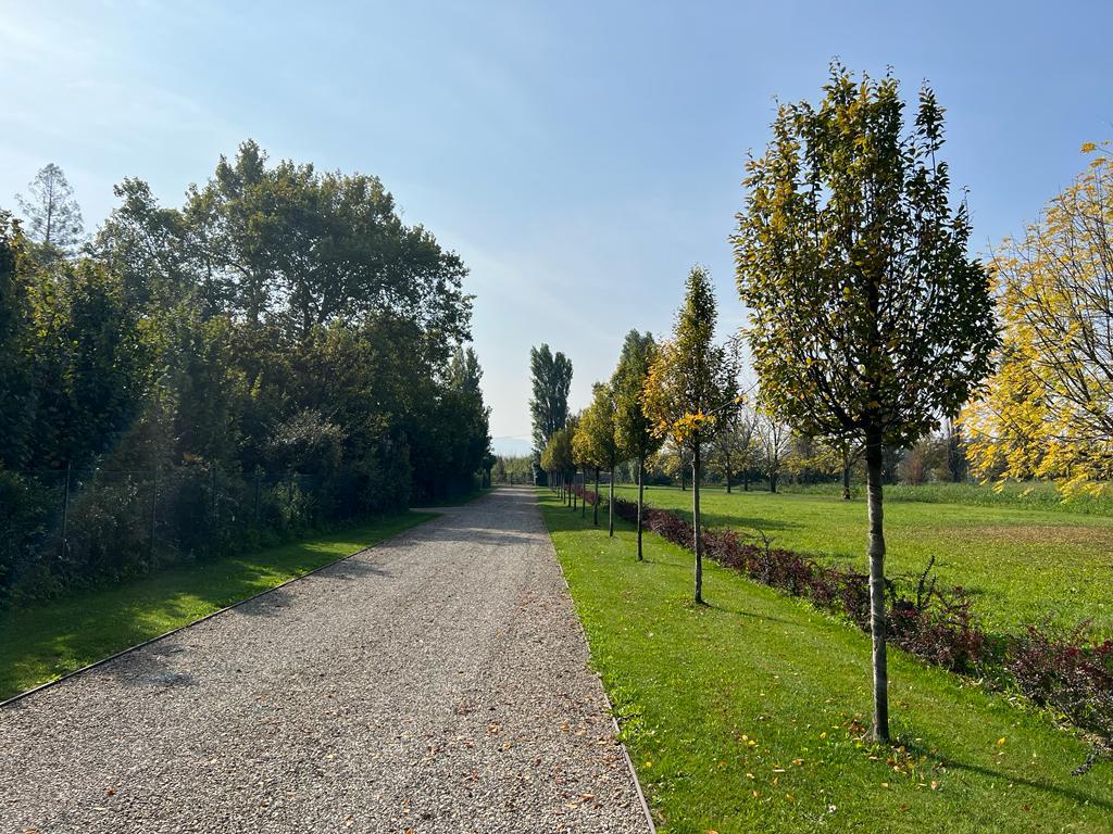 WhatsApp Image 2022-10-12 at 11.51.42