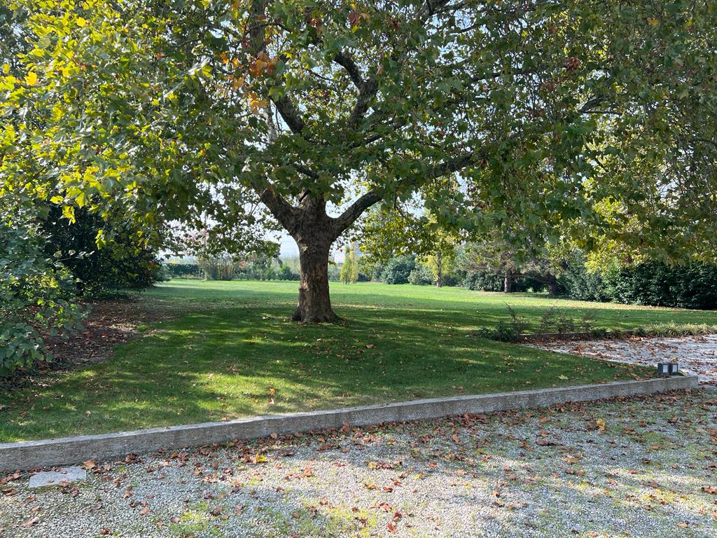 WhatsApp Image 2022-10-12 at 11.53.01